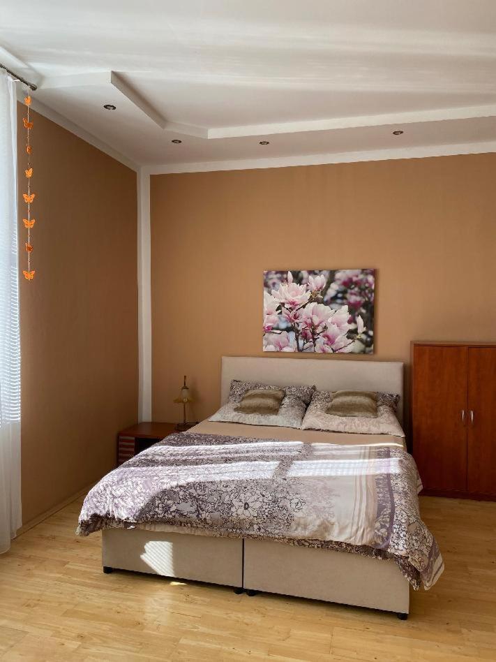 Holicak Apartment ออลอโมตซ์ ภายนอก รูปภาพ